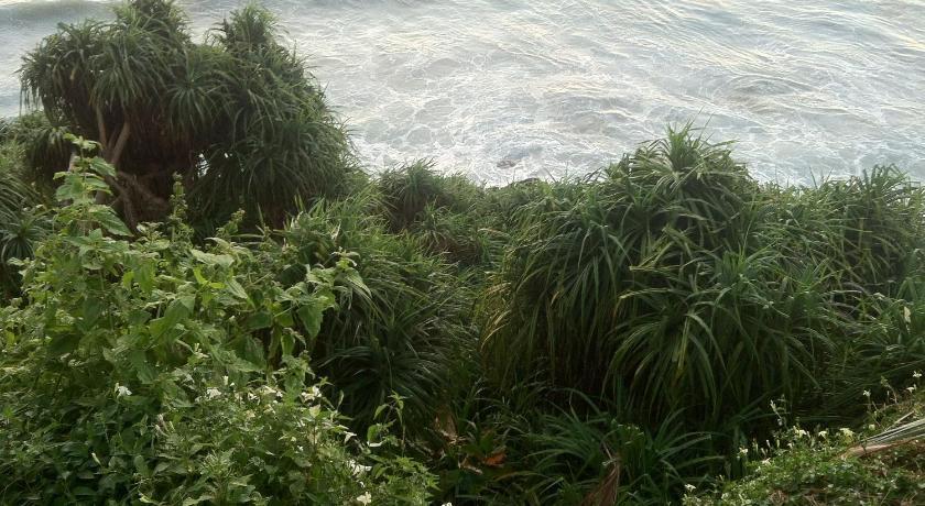 Clafouti Beach Resort - A Seafacing Resort Varkala Exterior photo